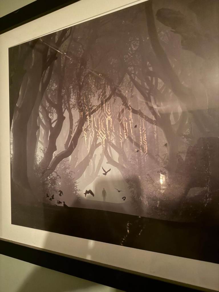 Framed Dark Hedges 