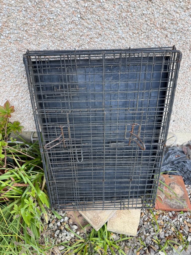 Free dog cage / dog crate 
