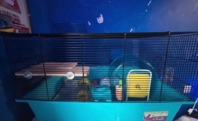 Hamster/gerbils cage extra large