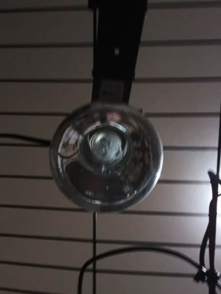 Exo Terra Halogen Mirrored Basking Lamp – Reptile Heat Bulb – Rutherglen