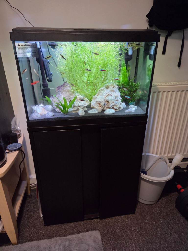 Fish tank With stand F!$h and all accessories 