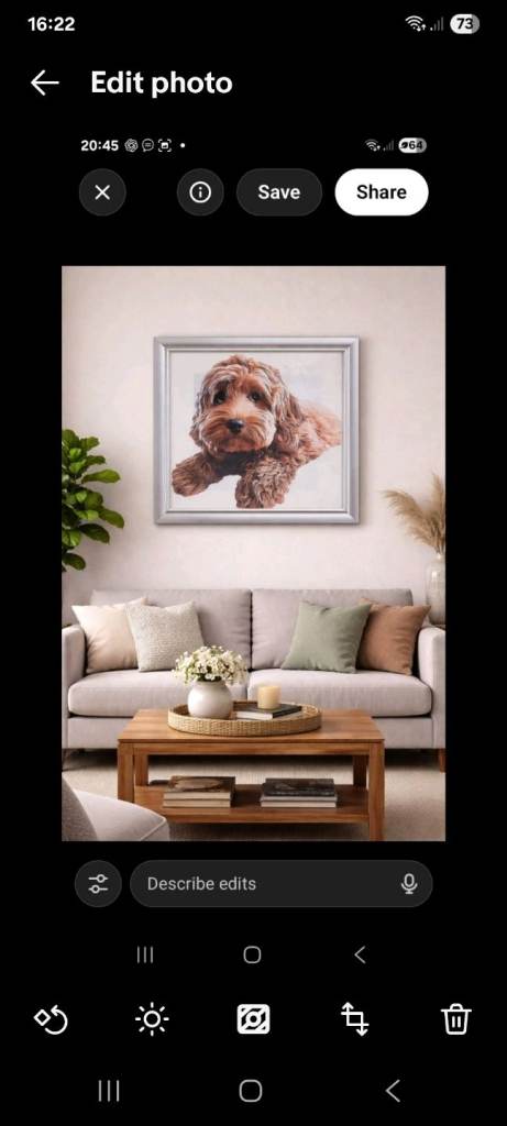 Cockapoo Picture 49x49cm