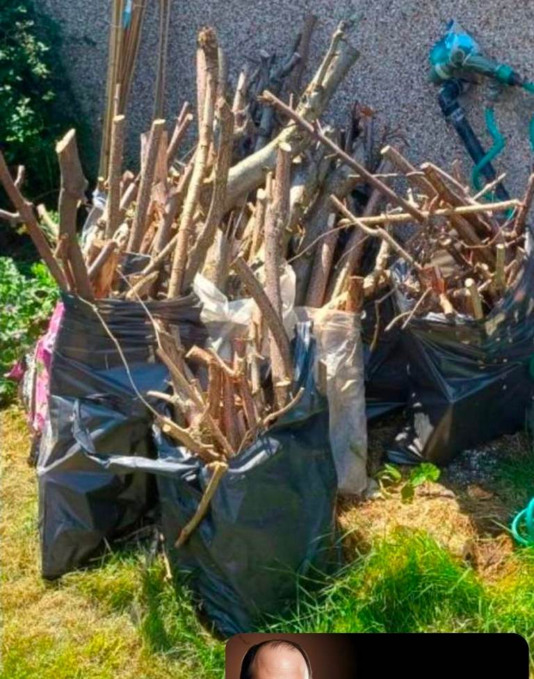 11 bags of med/thick Branches & Logs for wood burners/open fire💥£5 A BAG URGENT SALE 