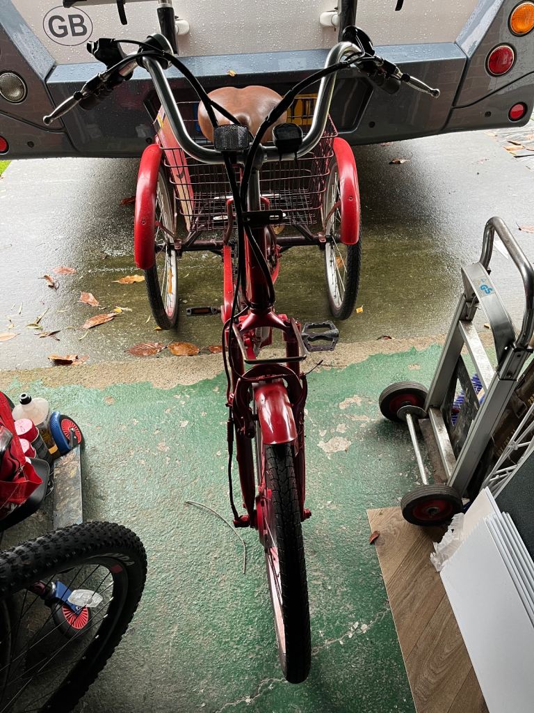 Jorvik adult trike 