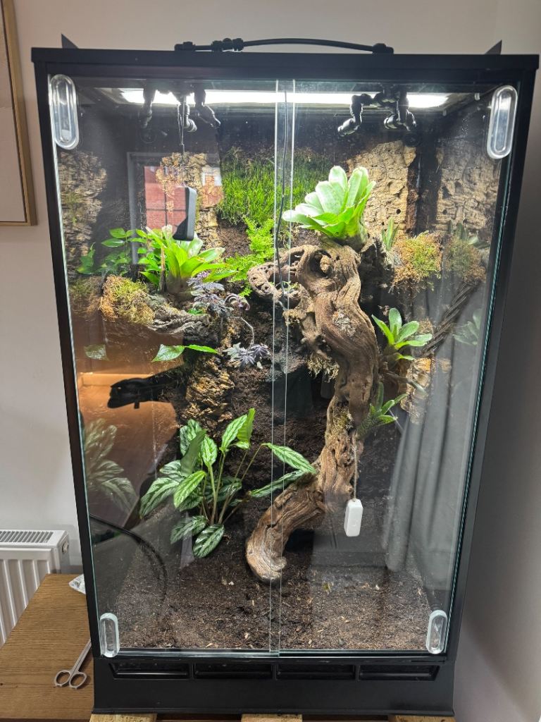 Bioactive Vivarium / Full Setup