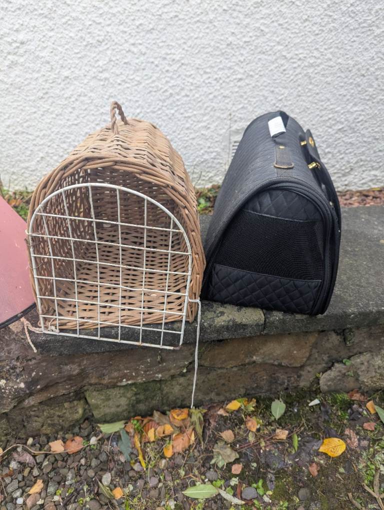 2 cat baskets available 