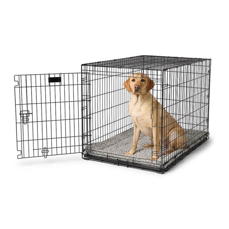 Pets at home - Large folding dog crate in excellent condition 