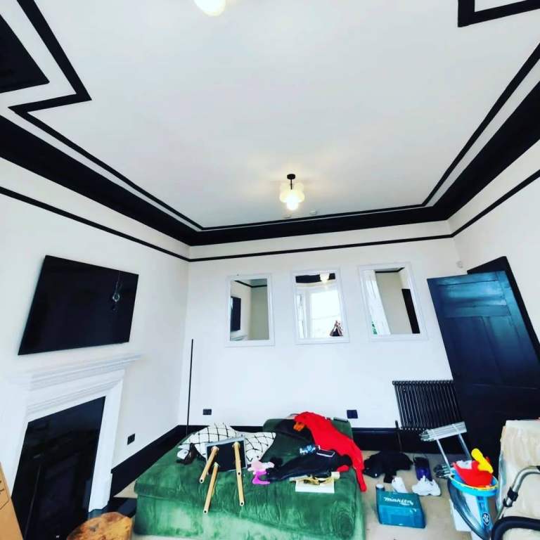 Professional Painter 