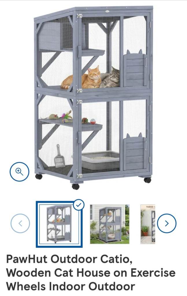Catio