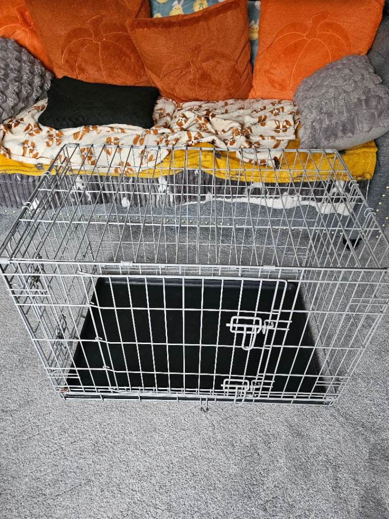 Dog cage 
