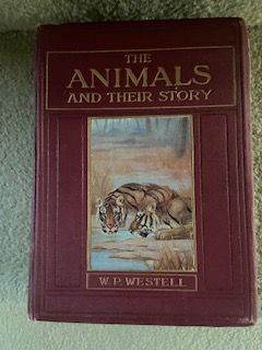 The Animals and their Kingdom 