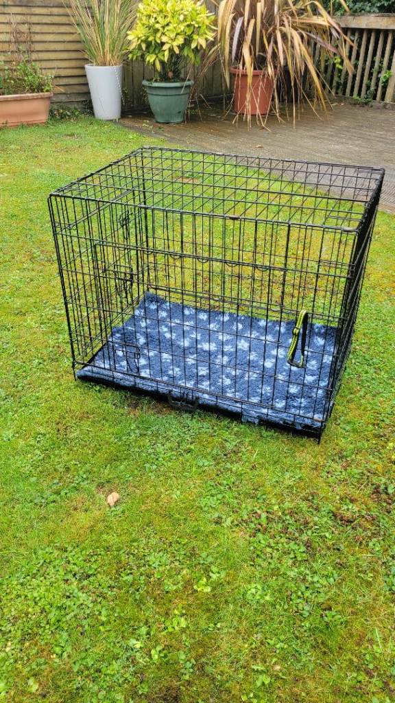 Dog crate 