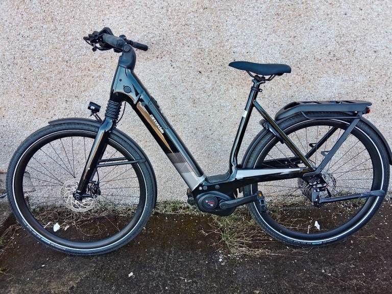Electric bike 