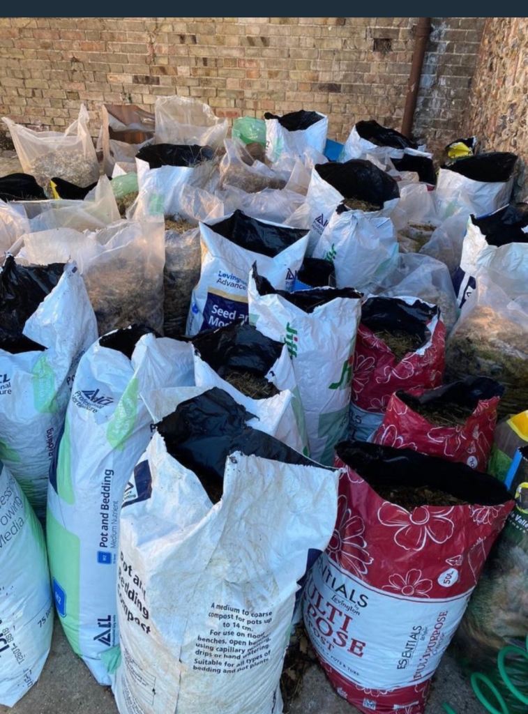 Horse Manure 🐴 💩