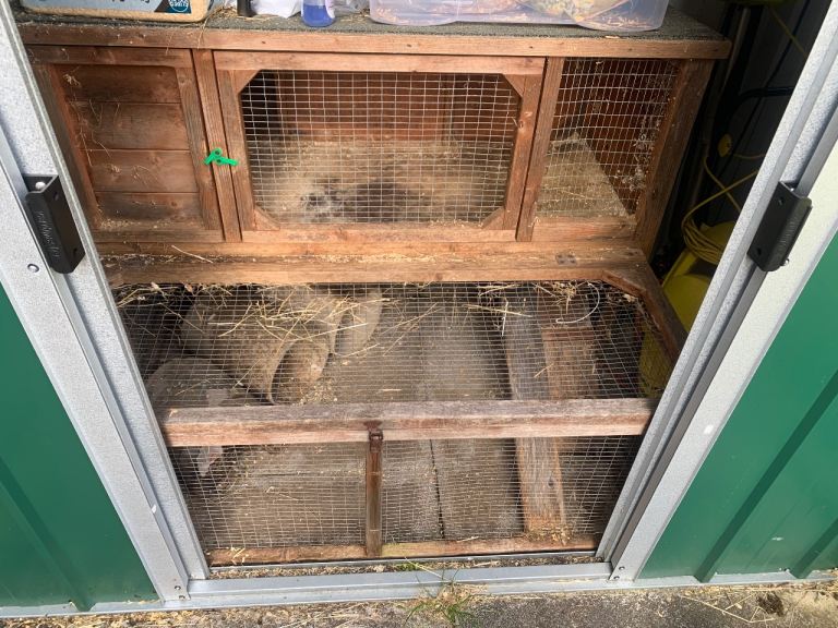 Guinea pig hutch and run