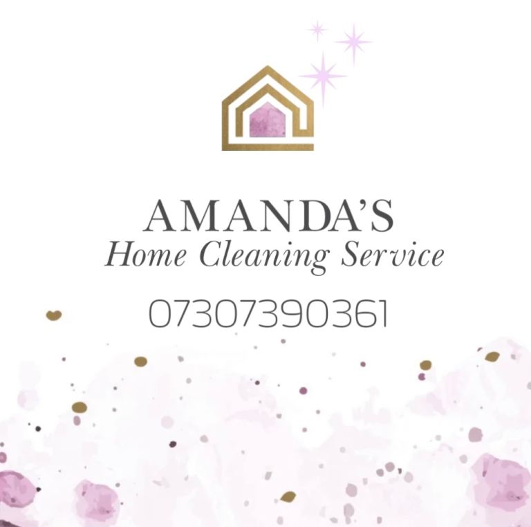 Private domestic cleaner