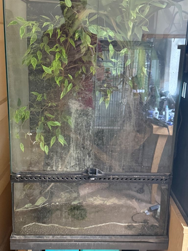Exo terra terranium and exo terra stand