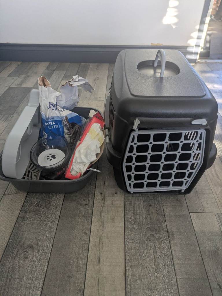 Cat carrier, litter tray, liners, litter, feeding/drinking bowls, grooming brush