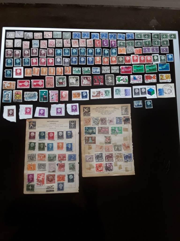 Netherlands and colonies Stamp collection 