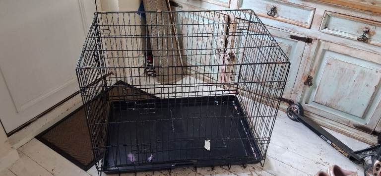 Dog crate FREE