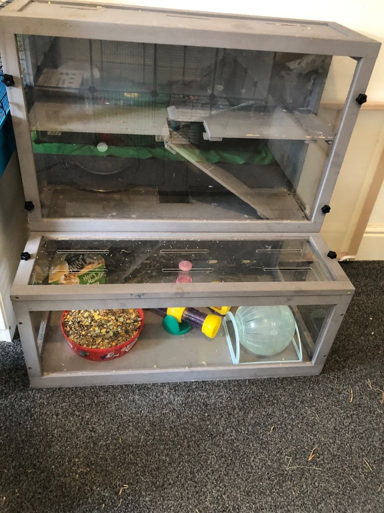 Hamster cage