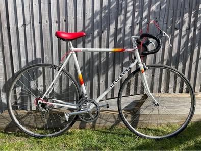 Peugeot Avoriaz Carbolite 103 23” Frame