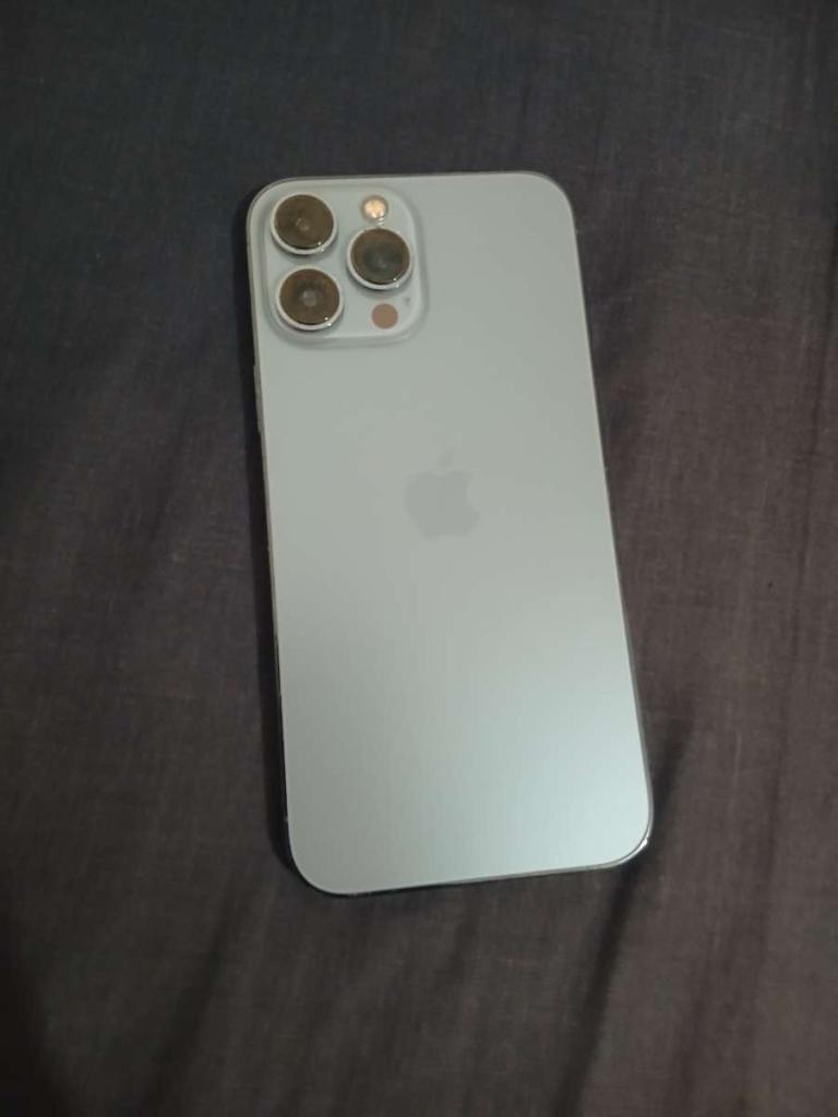 Apple iPhone 13 Pro Max read description