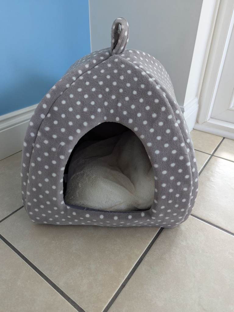 Pet igloo 