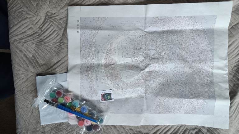 Paint-by-Numbers Kit (Moon & Galaxy Theme)