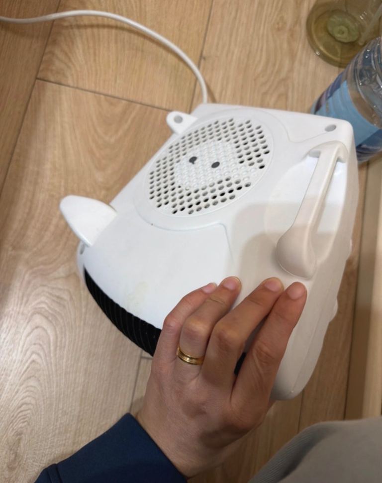 Electric heater