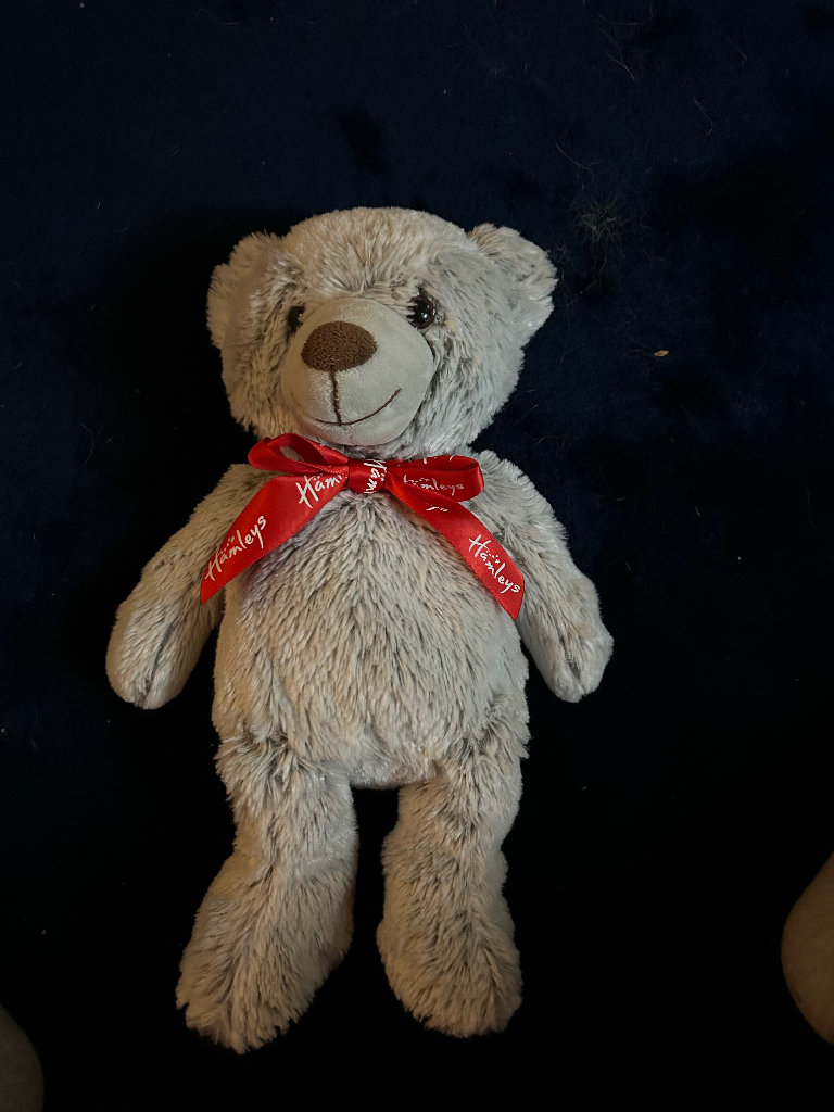 Hamley’s teddy bear 