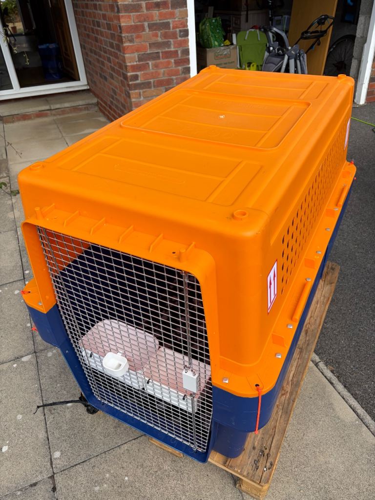 Pet Express PP100 Jumbo Airline Dog Crate IATA Approved - Used Once + Bowls