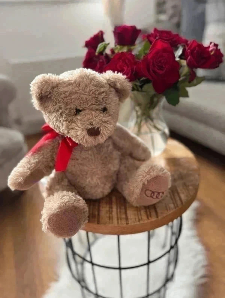 Audi Teddy Bear