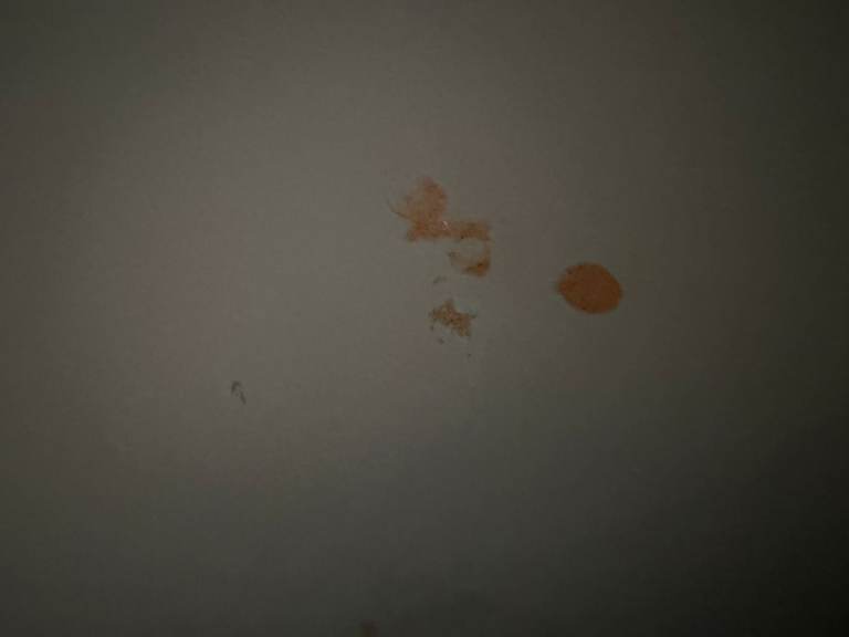 Stylish Mid-Century Style Console Table/Desk