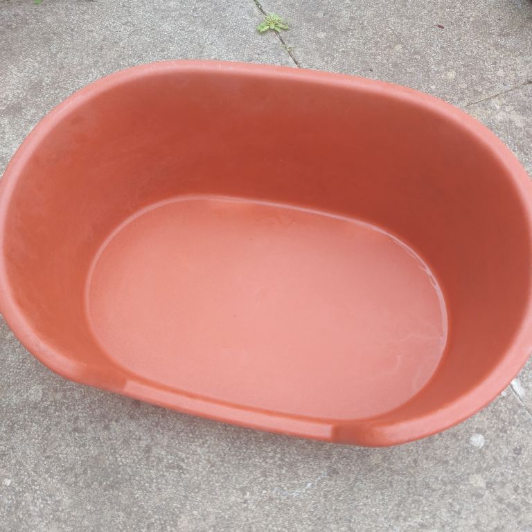 Free Small pet bed 