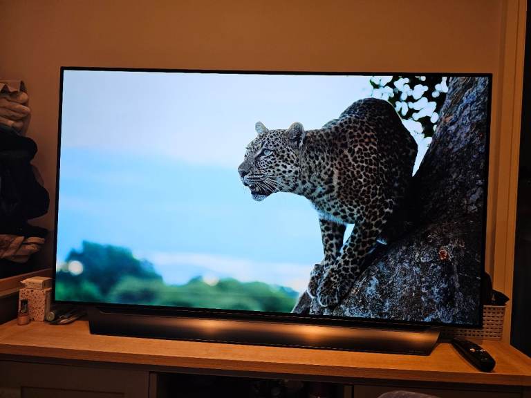 55" LG OLED TV - C8
