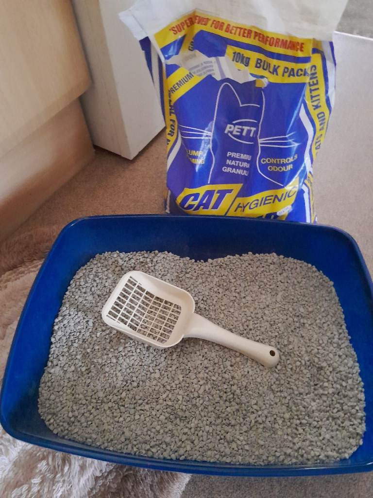 Cat litter tray and cat litter brand new free