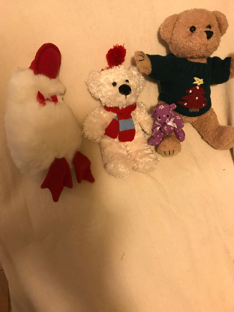 Three Teddies &  One Duck