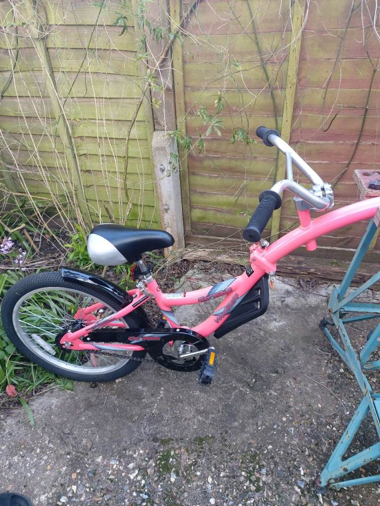 WeeRide Co Pilot Tagalong Trailer Child Bike - Pink