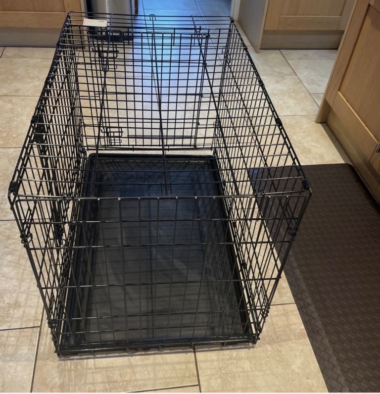 XXL dog create 