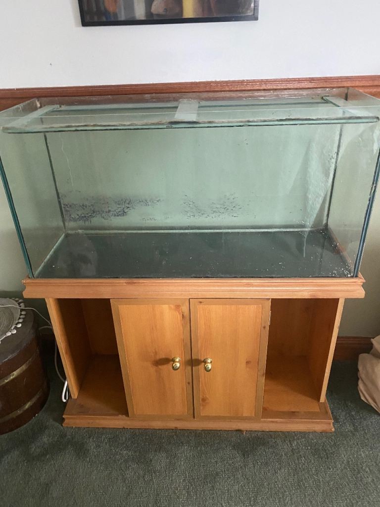 Aquarium  - Free