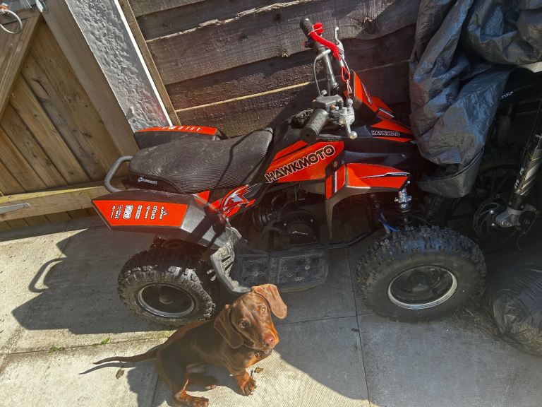 Petrol kids quad 