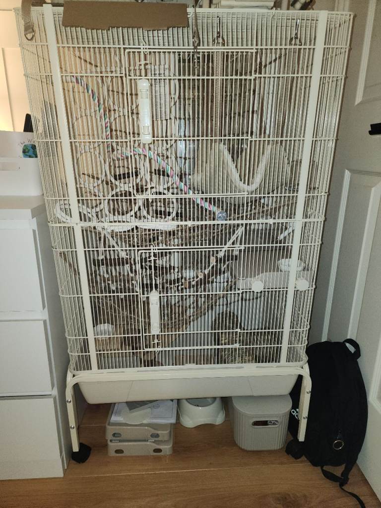 Small animal cage or bird cage