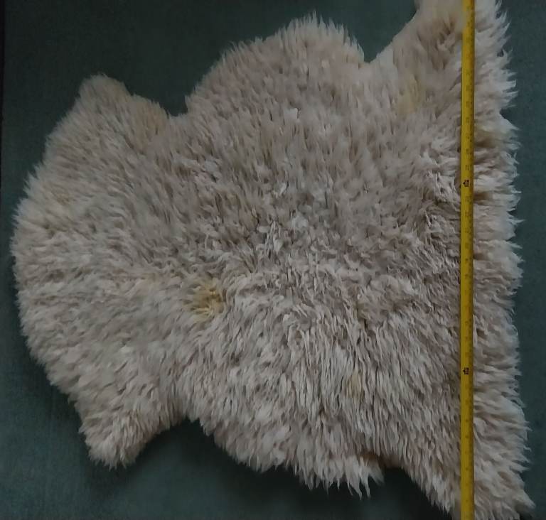 White New Zealand sheepskin