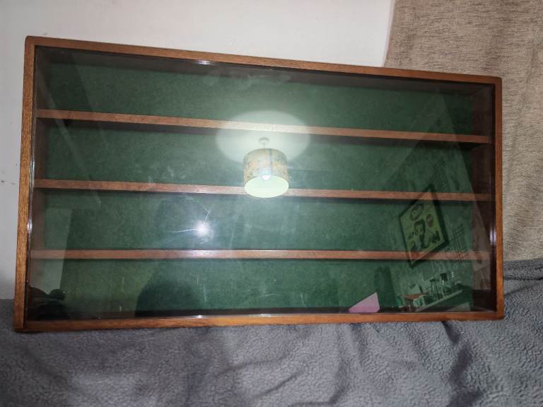 Wall mounted display cabinet 