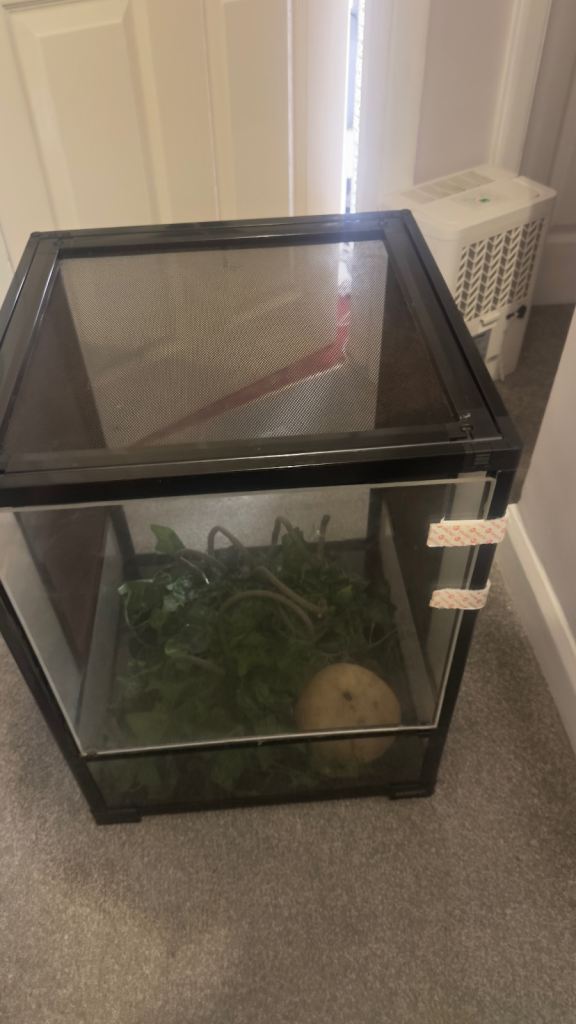 ProRep Reptile Terrarium - READ DESCRIPTION 