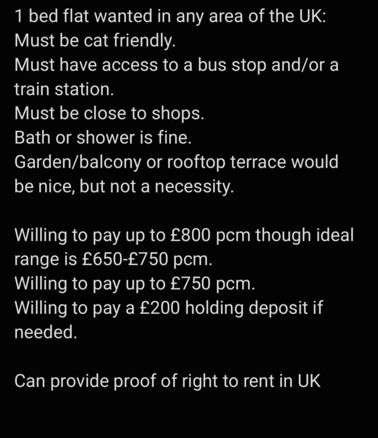 1 bed flat wanted in the UK