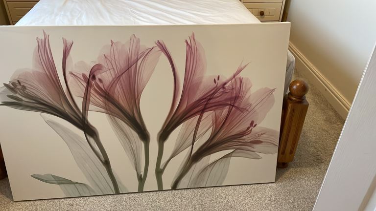 Large Flower Canvas Wall Art – Good Condition
