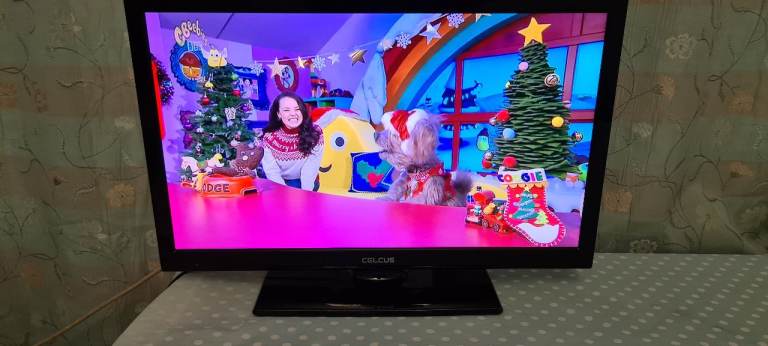 CHEAP TV with USB Media Player - Ideal for Workroom, Playroom, Kitchen, Desktop, Table-top, etc.