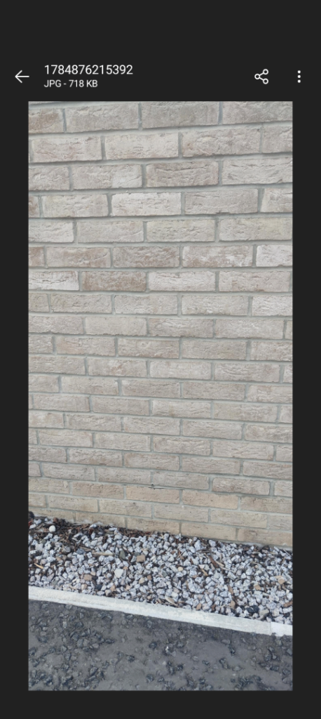 Brick for sale 
